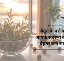 जैतून के तेल से परे: जैतून के पत्ते का अर्क आपके स्वास्थ्य को कैसे बेहतर बना सकता है | Beyond Olive Oil: How Olive Leaf Extract Can Improve Your Health