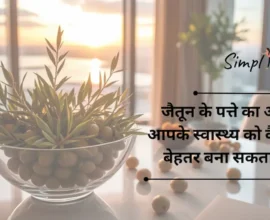 जैतून के तेल से परे: जैतून के पत्ते का अर्क आपके स्वास्थ्य को कैसे बेहतर बना सकता है | Beyond Olive Oil: How Olive Leaf Extract Can Improve Your Health